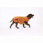Rufus & Rosie Red Teddy Dog Fleece Jumper, L+