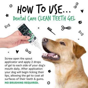 Best dental gel for dogs best sale