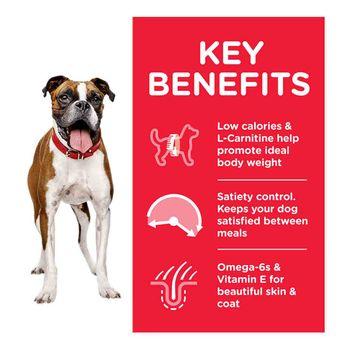 Hill s Science Plan Adult Light Medium Dry Dog Food Chicken Flavour Dry Dog Food
