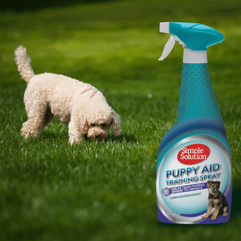 Simple Solution Puppy Training Aid Spray - 500ml