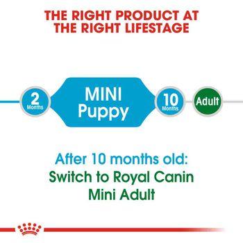 Royal Canin Dry Dog Food Mini Puppy 8kg