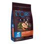 Wellness CORE Dry Large Breed Adult Dog Food Original Chicken Recipe 10kg