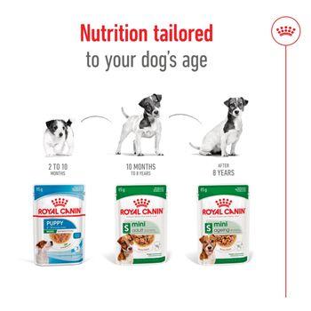Royal Canin Adult Dog Small Breed in Gravy 48x85g