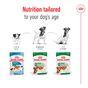 Royal Canin Adult Dog Small Breed in Gravy 48x85g