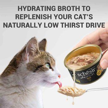 Schesir After Dark Complete Wet Cat Food Chicken in Fillets 80g