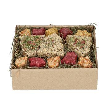 Rosewood Naturals Festive Cookies Forage Treat Tray for Small Animals