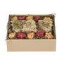 Rosewood Naturals Festive Cookies Forage Treat Tray for Small Animals