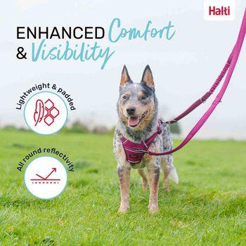 Halti Anatomy Multi Dog Lead Magenta Small