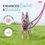 Halti Anatomy Multi Dog Lead Magenta Small