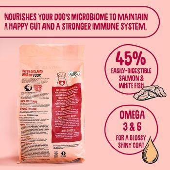 Scrumbles Dry Dog Food for Adult & Seniors Salmon 2kg