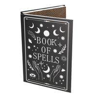 Smart Choice Book Of Spells Catnip Cat Scratcher