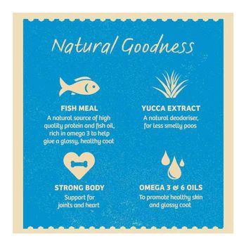James Wellbeloved Senior Dog Food Fish & Vegetable Grain Free 1.5kg