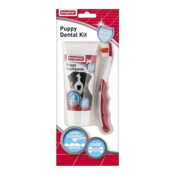 Puppy toothbrush and toothpaste best sale