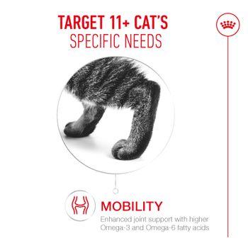 Royal Canin FHN Ageing 11+ Wet Cat Food in Gravy 12x85g