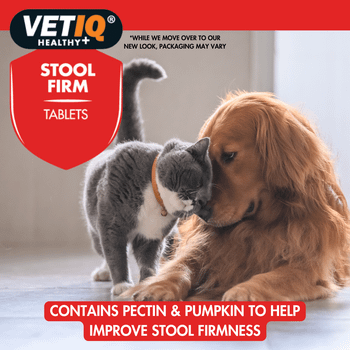 VetIQ Stool Firm-UM 45 Tablets