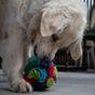 Petface Fabric Snuffle Ball Pet Treat Puzzle Dog Toy