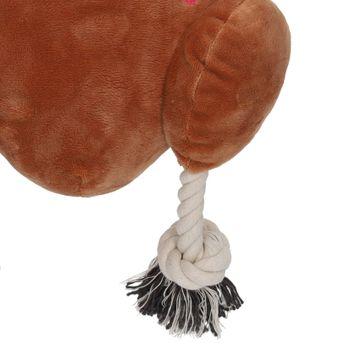 Smart Choice Squeaky Plush Turkey Dog Toy