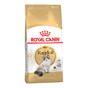 Royal Canin Ragdoll Dry Cat Food, 2kg