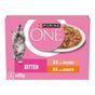 PURINA ONE Kitten Mini Fillets Salmon and Chicken Wet Cat Food 8x85g