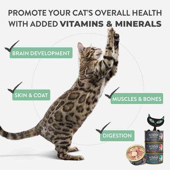 Schesir After Dark Complete Wet Cat Food Chicken in Fillets 80g