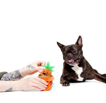 Bark Mandrake Harry Potter Plush Dog Toy