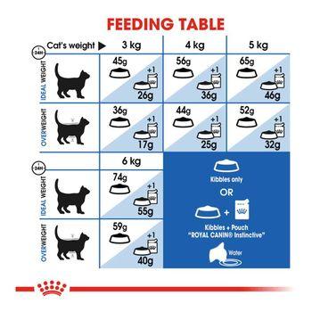 Royal Canin Indoor Cat 27 Dry Cat Food, 400g
