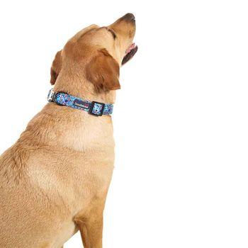 Doodlebone Trendy Tails Padded Dog Collar Blue 6-11
