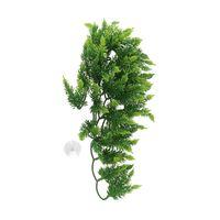 Zoo Med Malaysian Fern Reptile Viv-Clean