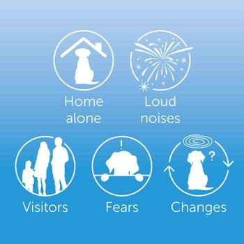 ADAPTIL Calm Home Diffuser 3X Refill Value Pack (48ml)