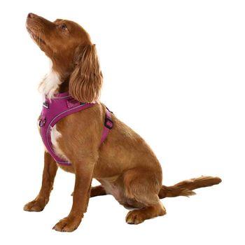 Doodlebone Trendy Tails Stomp Dog Harness Purple 2-3
