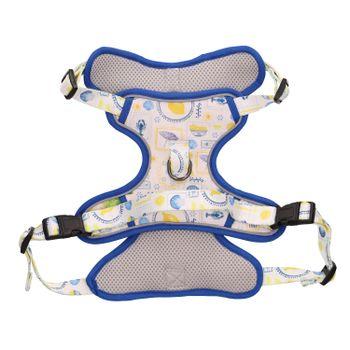 Rufus & Rosie Sunny Lemon Dog Harness & Lead Set Medium