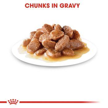 Royal Canin Instinctive Wet Cat Food in Gravy 48x85g