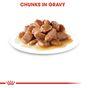 Royal Canin Instinctive Wet Cat Food in Gravy 48x85g
