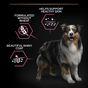PRO PLAN Medium & Large Senior 7+ Sensitive Skin Salmon Dry Dog Food 14kg