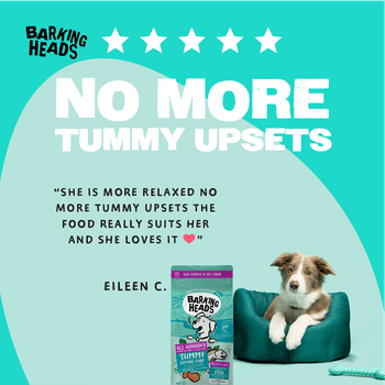 Barking Heads All Hounder Tummy Lovin' Care Fish Dry Dog Food, 12kg