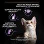 PRO PLAN Kitten Healthy Start Chicken Dry Cat Food 3kg