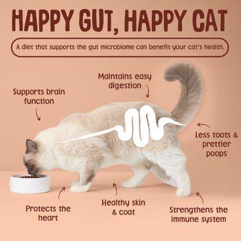 Scrumbles Grain Free Wet Cat Food in Jelly Meat Selection 6x80g