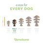 Benebone Fishbone Dog Toy Small