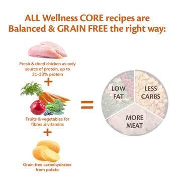 Wellness CORE Dry Large Breed Puppy Food Original Chicken Recipe 2.75kg