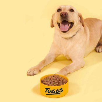 Tuggs Chicken Coup Complete Fresh Frozen Dog Food 300g