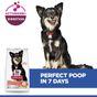 Hill's Science Plan Perfect Digestion Small & Mini Adult 1+ Dry Dog Food with Chicken & Brown Rice 1.5kg