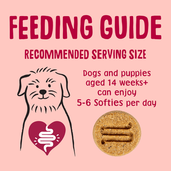 Scrumbles Softies Training Treats for Dogs Salmon 90g