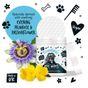 Bugalugs Dog Eye Biodegradable Wipes 100 Pack