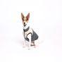 Rufus & Rosie Beige & Grey Explorer Dog Gilet, M+