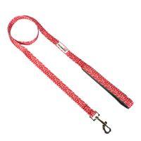 Doodlebone Ruby Leopard Dog Lead