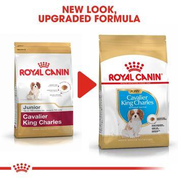 Royal Canin Cavalier King Charles Dry Dog Food 1.5kg