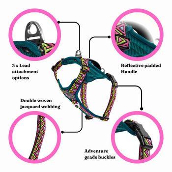 Neerdog Go-B-Bold Airflow Dog Harness-Lantana Medium 
