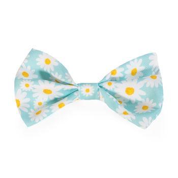 Rosewood Easter Bow Tie for Dogs