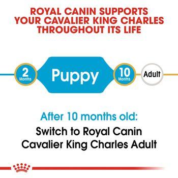 Royal Canin Cavalier King Charles Dry Dog Food 1.5kg