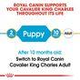 Royal Canin Cavalier King Charles Dry Dog Food 1.5kg